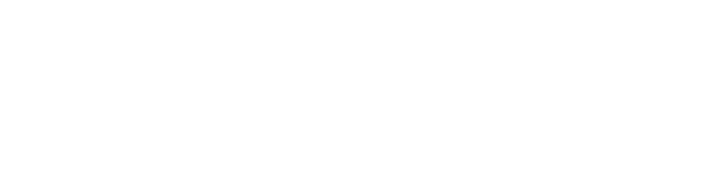 Duncan Business Solutions LLC - Logo 800 White